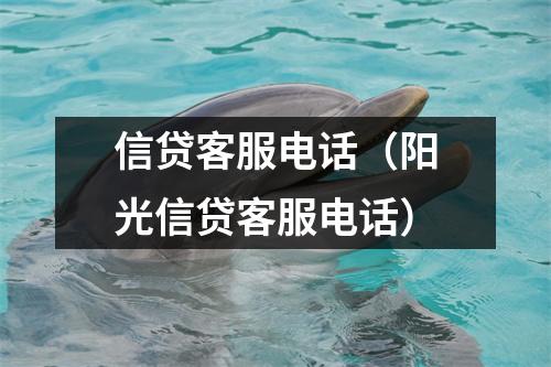 信贷客服电话(阳光信贷客服电话)