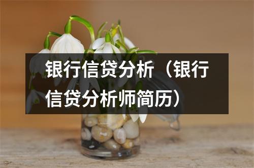 银行信贷分析（银行信贷分析师简历）