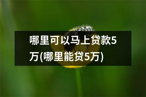 哪里可以马上贷款5万(哪里能贷5万)