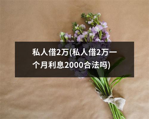 私人借2万(私人借2万一个月利息2000合法吗)