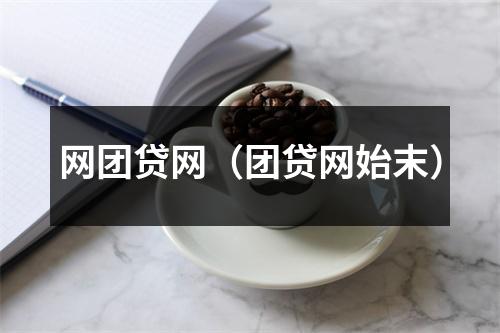 网团贷网（团贷网始末）