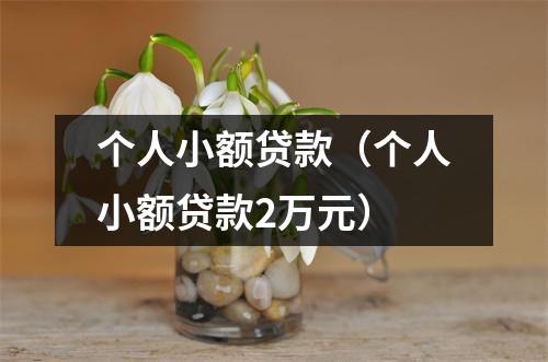 个人小额贷款(个人小额贷款2万元)