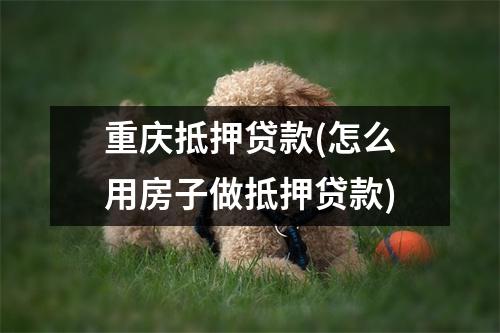 重庆抵押贷款(怎么用房子做抵押贷款)