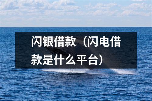 闪银借款（闪电借款是什么平台）