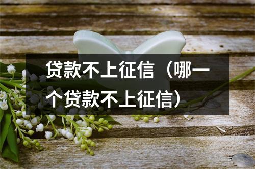 贷款不上征信（哪一个贷款不上征信）