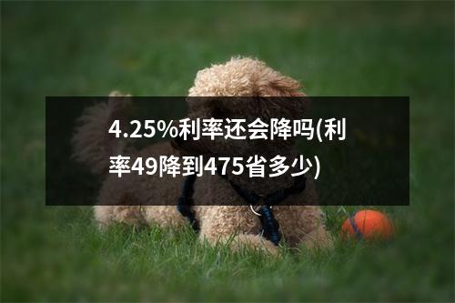 4.25%利率还会降吗(利率49降到475省多少)