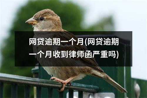 网贷逾期一个月(网贷逾期一个月收到律师函严重吗)