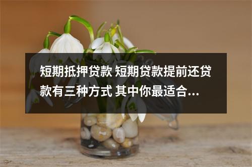 短期抵押贷款 短期贷款提前还贷款有三种方式 其中你最适合哪一种?