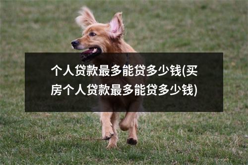 个人贷款最多能贷多少钱(买房个人贷款最多能贷多少钱)