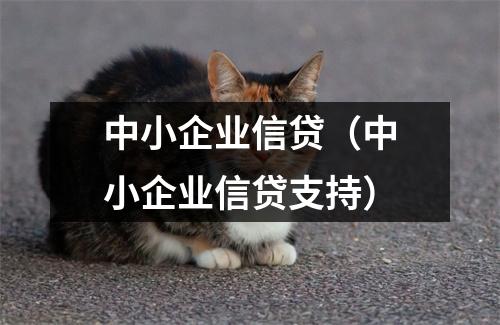 中小企业信贷（中小企业信贷支持）