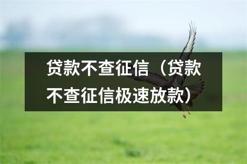 贷款不查征信（贷款不查征信极速放款）