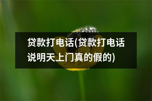 贷款打电话(贷款打电话说明天上门真的假的)