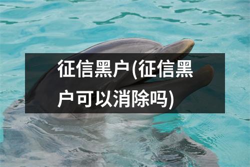 征信黑户(征信黑户可以消除吗)