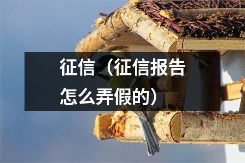 征信（征信报告怎么弄假的）
