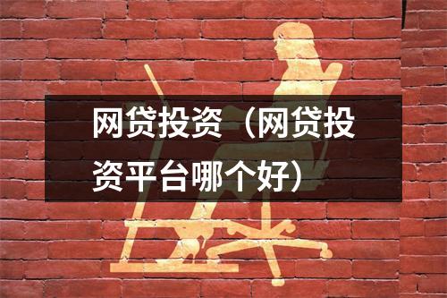网贷投资(网贷投资平台哪个好)