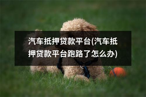 汽车抵押贷款平台(汽车抵押贷款平台跑路了怎么办)