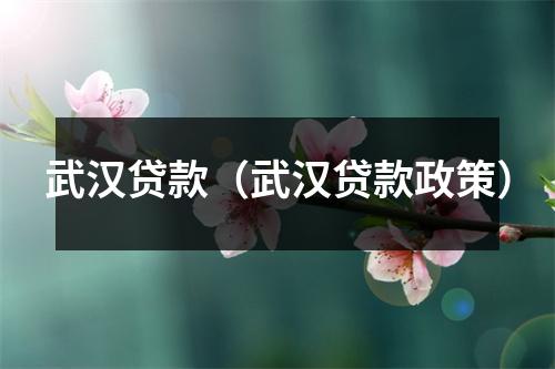 武汉贷款（武汉贷款政策）