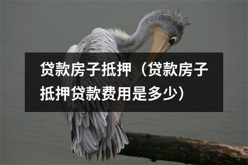 贷款房子抵押（贷款房子抵押贷款费用是多少）