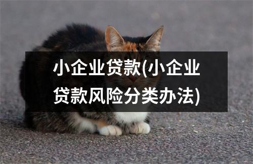 小企业贷款(小企业贷款风险分类办法)