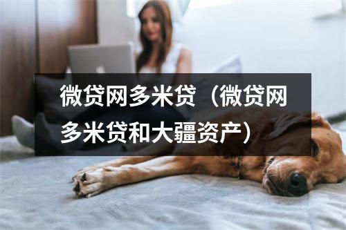 微贷网多米贷（微贷网多米贷和大疆资产）