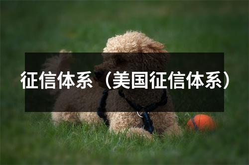 征信体系（美国征信体系）