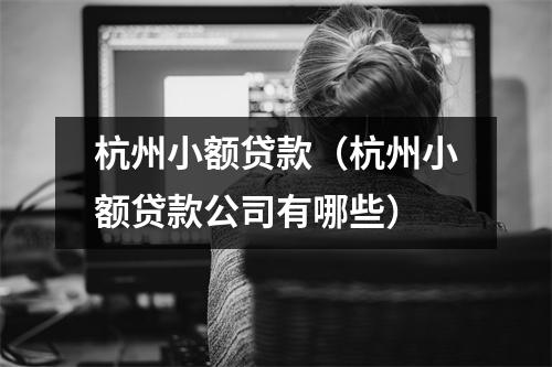 杭州小额贷款(杭州小额贷款公司有哪些)