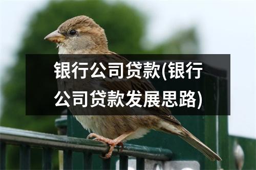 银行公司贷款(银行公司贷款发展思路)
