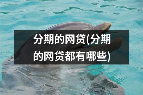 分期的网贷(分期的网贷都有哪些)