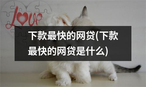 下款最快的网贷(下款最快的网贷是什么)