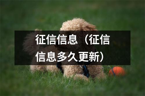 征信信息（征信信息多久更新）