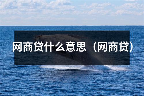 网商贷什么意思(网商贷)