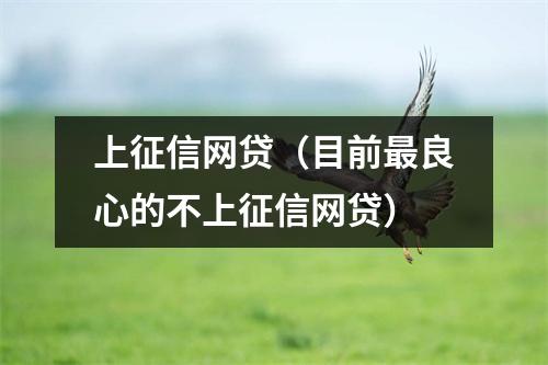 上征信网贷（目前最良心的不上征信网贷）