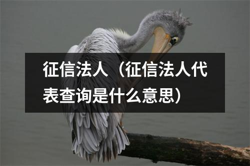 征信法人（征信法人代表查询是什么意思）