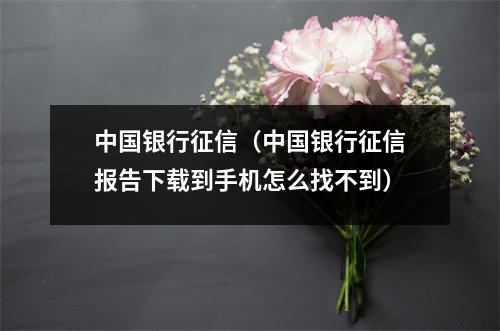 中国银行征信(中国银行征信报告下载到手机怎么找不到)