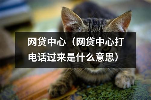 网贷中心（网贷中心打电话过来是什么意思）