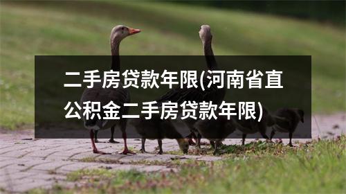 二手房贷款年限(河南省直公积金二手房贷款年限)