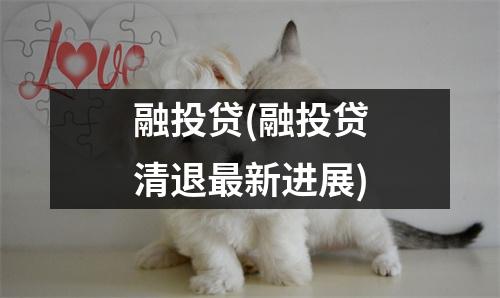 融投贷(融投贷清退最新进展)