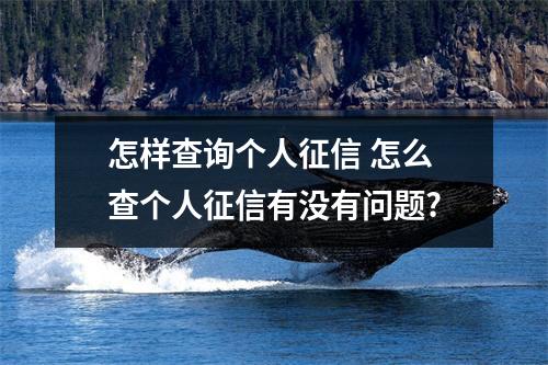 怎样查询个人征信 怎么查个人征信有没有问题?