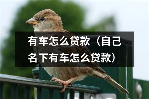 有车怎么贷款（自己名下有车怎么贷款）