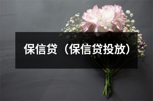 保信贷（保信贷投放）