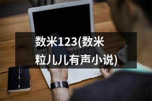 数米123(数米粒儿儿有声小说)