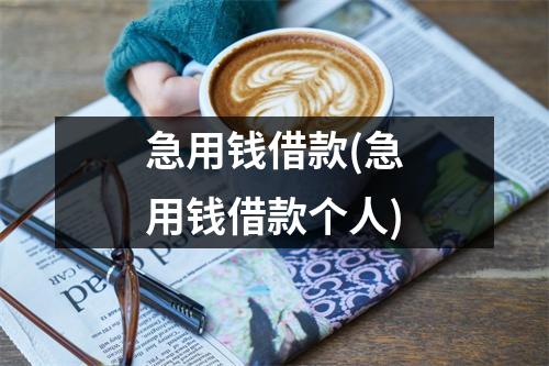 急用钱借款(急用钱借款个人)