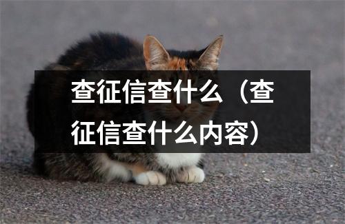 查征信查什么(查征信查什么内容)