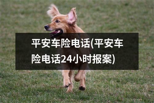 平安车险电话(平安车险电话24小时报案)