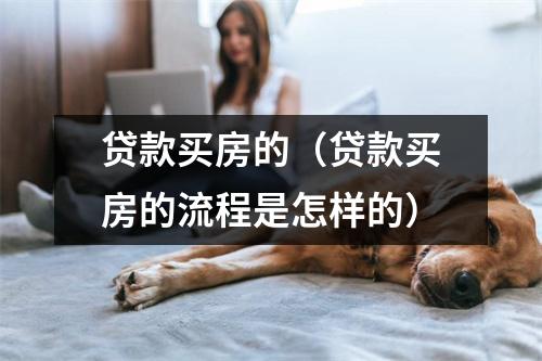 贷款买房的（贷款买房的流程是怎样的）