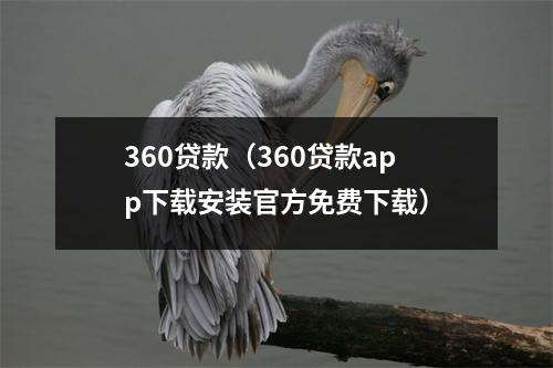 360贷款（360贷款app下载安装官方免费下载）