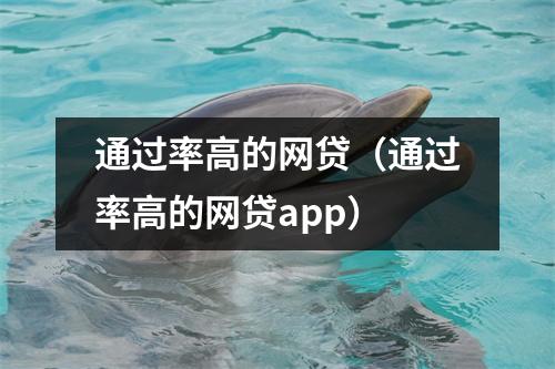 通过率高的网贷(通过率高的网贷app)