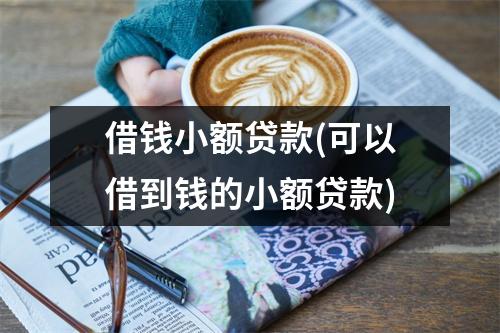 借钱小额贷款(可以借到钱的小额贷款)