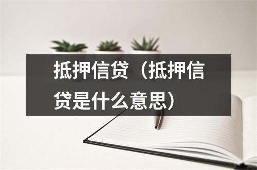 抵押信贷（抵押信贷是什么意思）