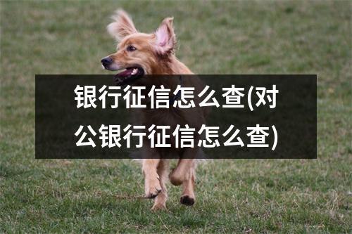 银行征信怎么查(对公银行征信怎么查)